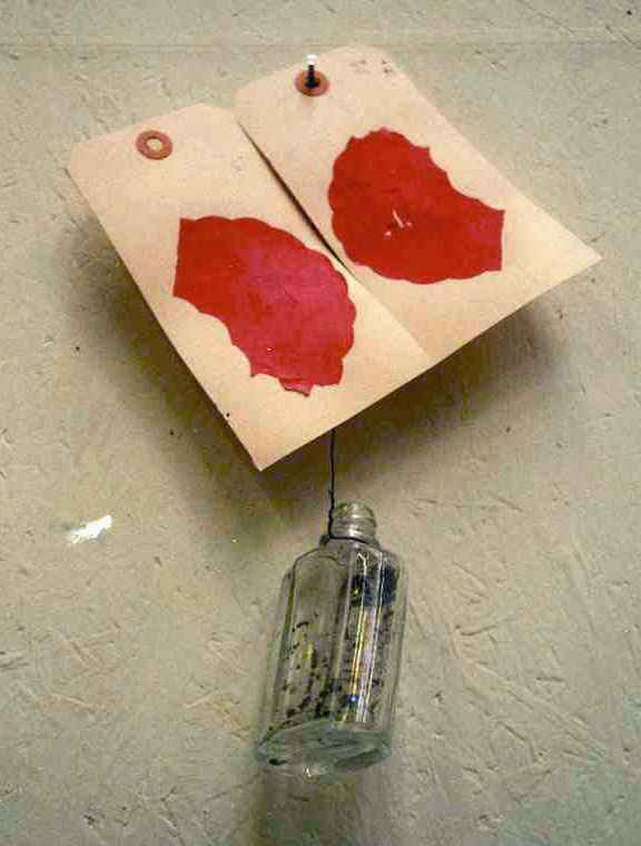 vlinder flesje uitsn